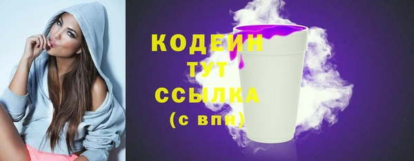 спиды Каменка