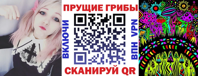 продажа наркотиков  Камешково  Галлюциногенные грибы MAGIC MUSHROOMS 